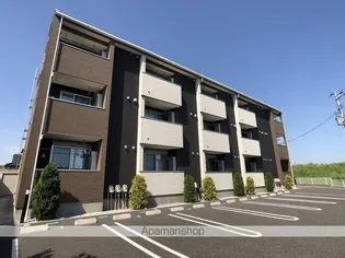 マッシュルームの画像