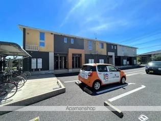 イリーデ カワセミの画像