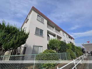 ハイム恵の画像