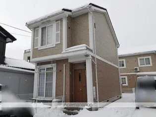 オリーブの画像