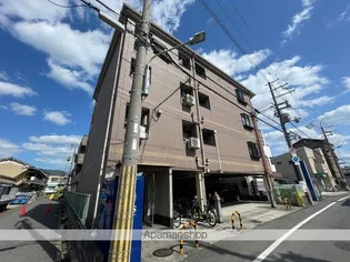ニューセンチュリー玉串の画像