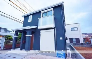 PINO FORESTの画像