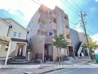 レージュ道徳の画像