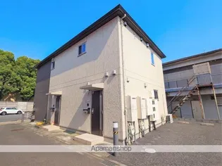 M 横田の画像