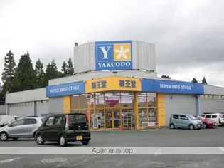 名須川ヒルズB【105号室】の周辺