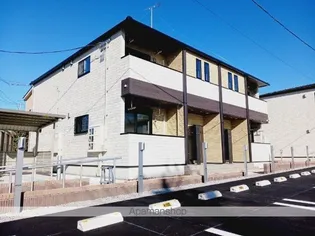 プルメリアAの画像