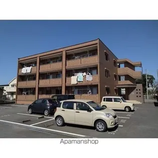 タンゼリンの画像