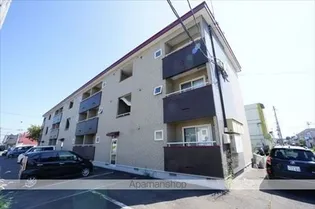 SALLA白樺の画像