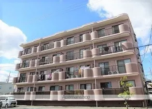 WINDY川井の画像