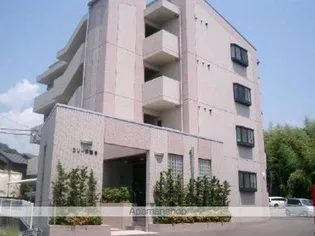 コリーヌ鷹子の画像