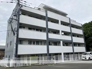 チェリーブロッサムⅢの画像