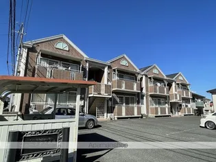 ニートネス花通の画像