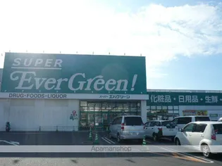 フレグランス阪南C.D棟【115号室】の周辺