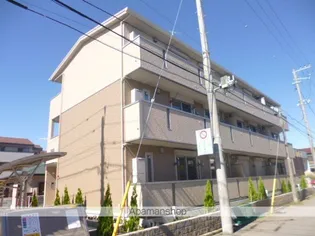 カメリアの画像