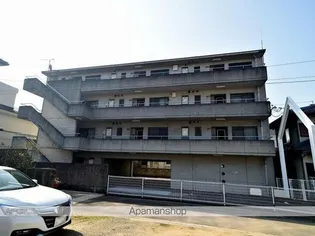 デイジー三条の画像