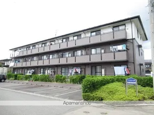 ハイカムールISの画像