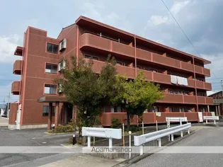 エスペランサⅢの画像