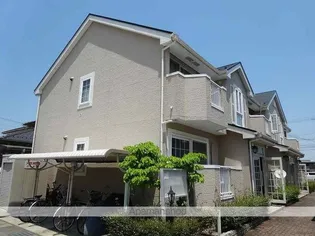 コーモドビビエンダの画像