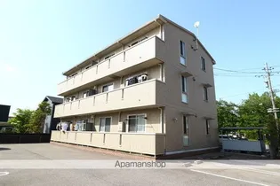 グレイスTの画像