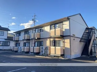 藤 LIN DEN Bの画像