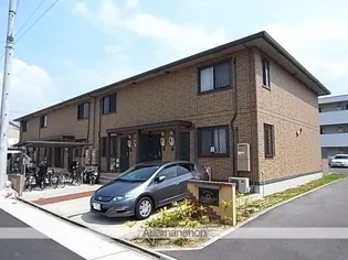 メイポップの画像