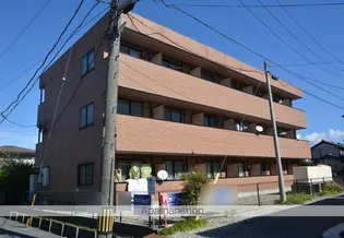 アンプルール フェール ロワイヤルの画像