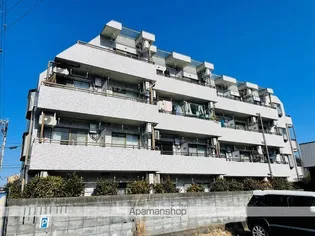 ベラフロールの画像