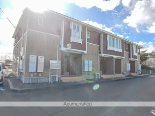 プリマステラの画像