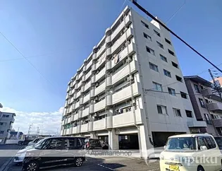 フォーエバー1の画像