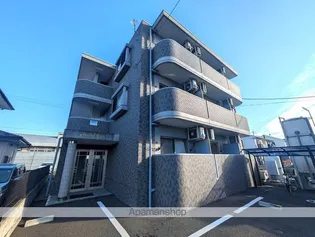 アミーゴ タッグ2の画像