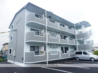 コンチェルトの画像