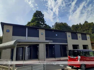 コーラルスターの画像