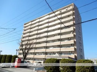 清幸マンション野田【7階】の外観