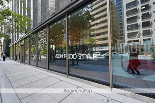 ザ・パークハウス西新宿タワー60【46階】の周辺