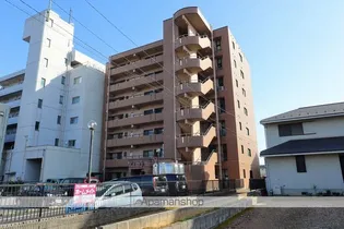 アコールヤマショウの画像