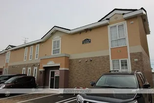 ホークフェザー15の画像