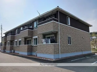 プリムローズの画像