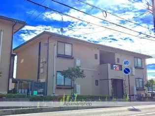 ロイヤルフィーノの画像