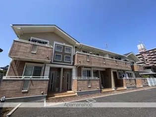 ピーノ フォリアの画像