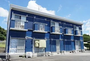 AZZURRO FUKUROIの画像