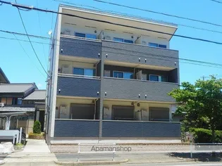 風のフォレストの画像