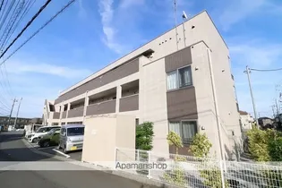 スタービレの画像