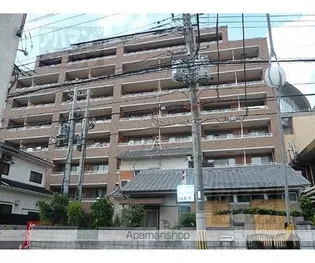 ハレクラニの画像