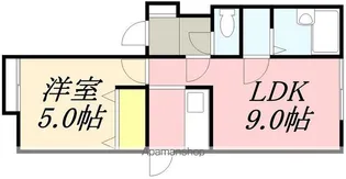 ウィンディア万勝Ⅱ【1階】の間取り