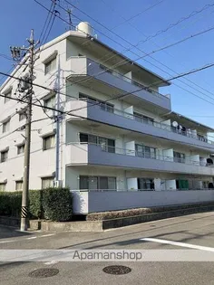 ドエルはーもにーの画像