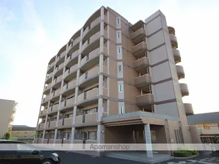 プリムローズ Jの画像