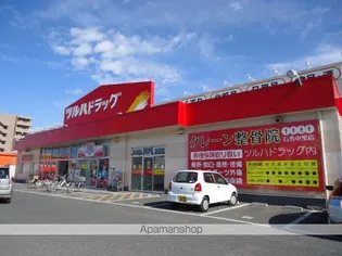 ディアグラーノ パル【2階】の周辺