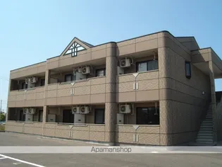 ステラの画像