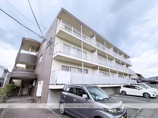 サイプレスの画像
