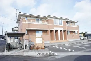 ネオ グレイスの画像